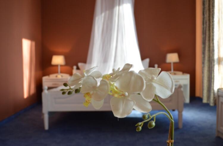 Hotel Shterev Sopot Dış mekan fotoğraf